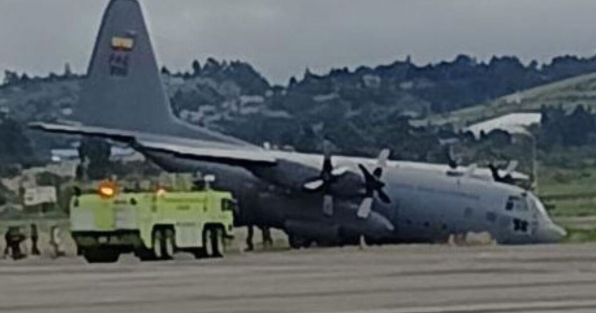 Panic as huge Air Force plane nosedives into ditch