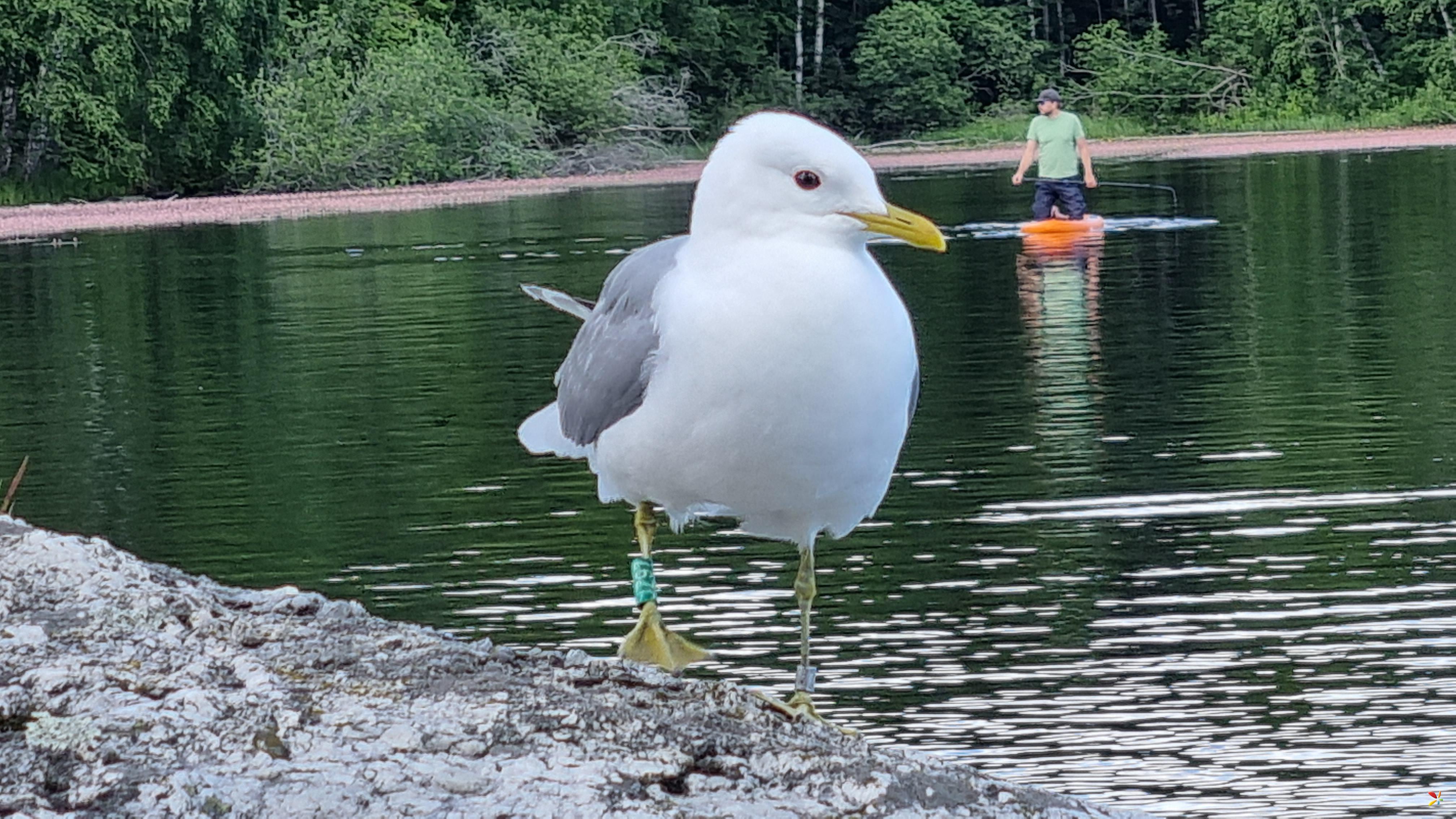 Bråten badeplass, Oslo  