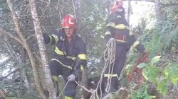 Bear kills motorcyclist in Romanian mountains