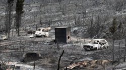 One dead and thousands evacuated as wildfire spreads in France