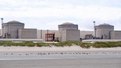 Jellyfish swarm forces French nuclear plant to shut