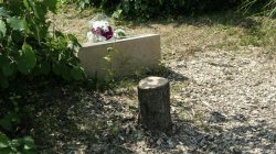 Macron condemns &#039;act of hatred&#039; after tree memorial for murdered Jew is cut down