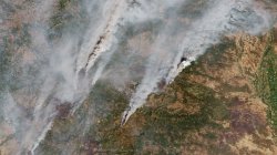 Spain and Portugal wildfires drive worst EU season on record