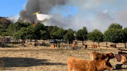 Spain counts the cost of &#039;nightmare&#039; wildfire summer