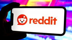 Danish man given suspended sentence for sharing nude film scenes on Reddit