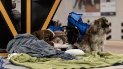 US wants Russia and Ukraine to end war by June, says Zelensky