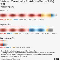 MPs back assisted dying bill in historic Commons vote