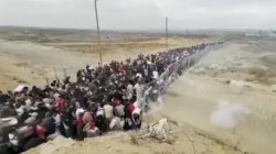 Gaza aid contractor tells BBC he saw colleagues fire on hungry Palestinians