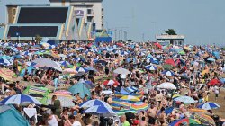 Health alerts and hosepipe bans as UK heatwave temperatures reach 34.7C