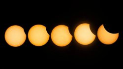Partial solar eclipse pictured across the globe as Moon covers the Sun