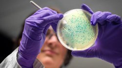 AI invents new antibiotics that could kill superbugs gonorrhoea and MRSA