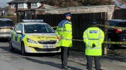 Man, 84, dies weeks after XL bully attack
