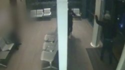 What footage tells us about the synagogue attack