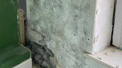 Our son can't come home for Christmas after insulation mould took over