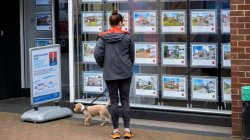 Biggest choice of low-deposit mortgages for 17 years