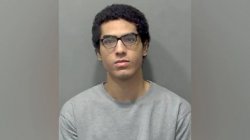 Court asked to extend sentence of teenager who killed mother and siblings