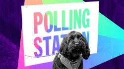 Chris Mason: A wildly unpredictable local elections