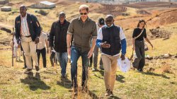 Why leaving his own charity will matter so much to Prince Harry