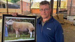 Polluted airport water &#039;destroyed my unborn lambs&#039;