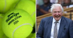 The real reason tennis balls are yellow – and it’s all thanks to David Attenborough