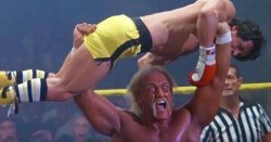 Hulk Hogan left Sylvester Stallone &#039;mangled and in agony&#039; during horror incident in Rocky