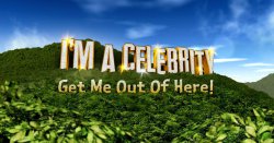 I&#039;m A Celebrity icon sues ITV after horror fall walking to the bathroom