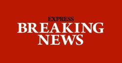 Tom Noonan dead: Heat and Manhunter icon dies as heartbroken co-star speaks out