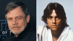 Star Wars: A New Hope cast now - from illicit affairs to addiction and Lucasfilm fallout