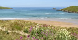 &#039;World&#039;s most beautiful beach&#039; with &#039;golden sand and clear sea&#039; is &#039;Cornish gem&#039;