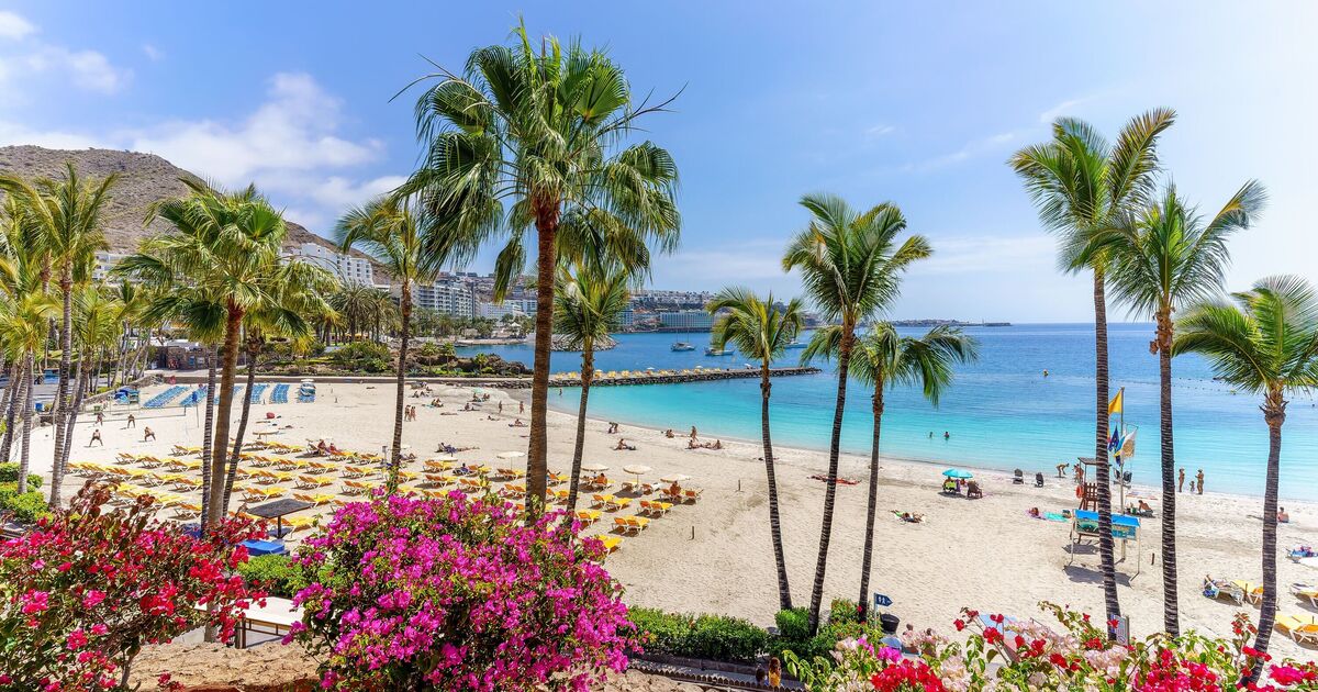 Blow for protesters as Canary Islands break their all-time tourism record