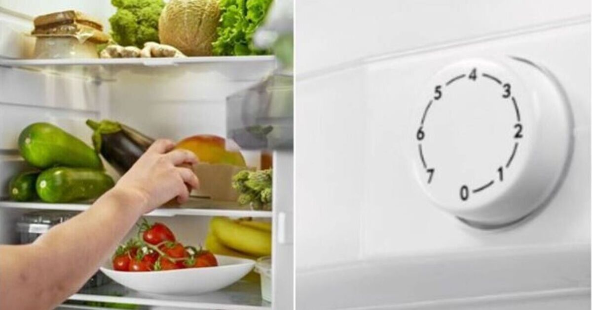People are only just realising what fridge dial <b class='text-danger'>number</b>s mean and it's not temperature