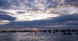 Scientists warn swathes of the Earth’s waters are undergoing mysterious &#039;ocean darkening&#039;