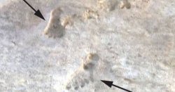 &#039;Incredible&#039; ancient footprints discovery could rewrite human history