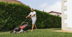 Make your lawn look &#039;perfect&#039; with gardener&#039;s &#039;lazy&#039; three step guide