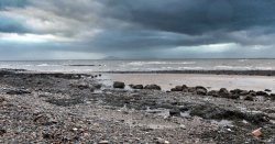 UK beach horror as &#039;leg still wearing shoe and sock&#039; washes ashore