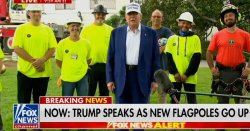 Harvey Weinstein joke backfires as Donald Trump branded &#039;revolting&#039; by Fox viewers
