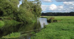 Norfolk Broads tragedy as teenager&#039;s body pulled from river