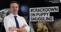 MPs back bid to stop &#039;unimaginably cruel&#039; puppy smuggling trade