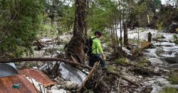 Texas floods: Two missing girls found &#039;clinging to 30ft tree&#039; as death toll rises