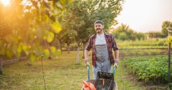 Gardener urges people not to water plants at one time during hot weather