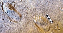 Archaeologists make stunning Neanderthals find in Portugal that could rewrite history