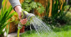 Another UK water company issues hosepipe ban for 1m Brits in 2 counties