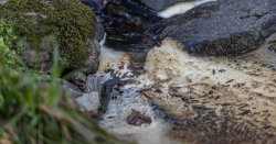 &#039;National disgrace!&#039; Fury as serious water pollution rockets 60% last year