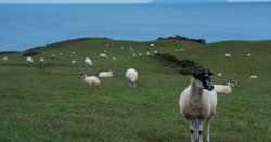 Obscure British island home to less than 30 people with dark past of piracy and slavery