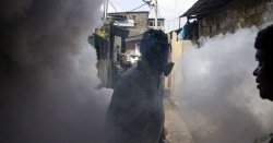 What IS the chikungunya virus ripping through China with 7,000 infected so far?