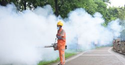 Urgent vaccine warning for China travellers as horror chikungunya virus outbreak goes on