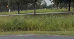 Active shooter confirmed at army airfield as locals told &#039;lock doors and windows&#039;