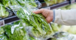 Warning over bags of salad sold at Aldi, Lidl and Tesco - Urgent Recall