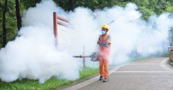 Chikungunya virus pandemic fears sees China move to full Covid-19 battle stations