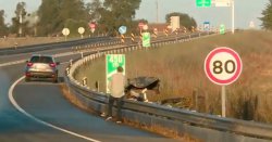 British family of four killed in Portugal horror crash named
